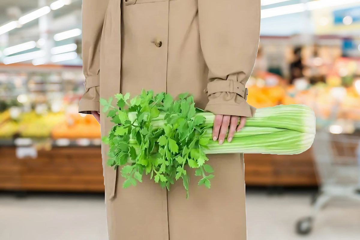 Moschino Celery Bag