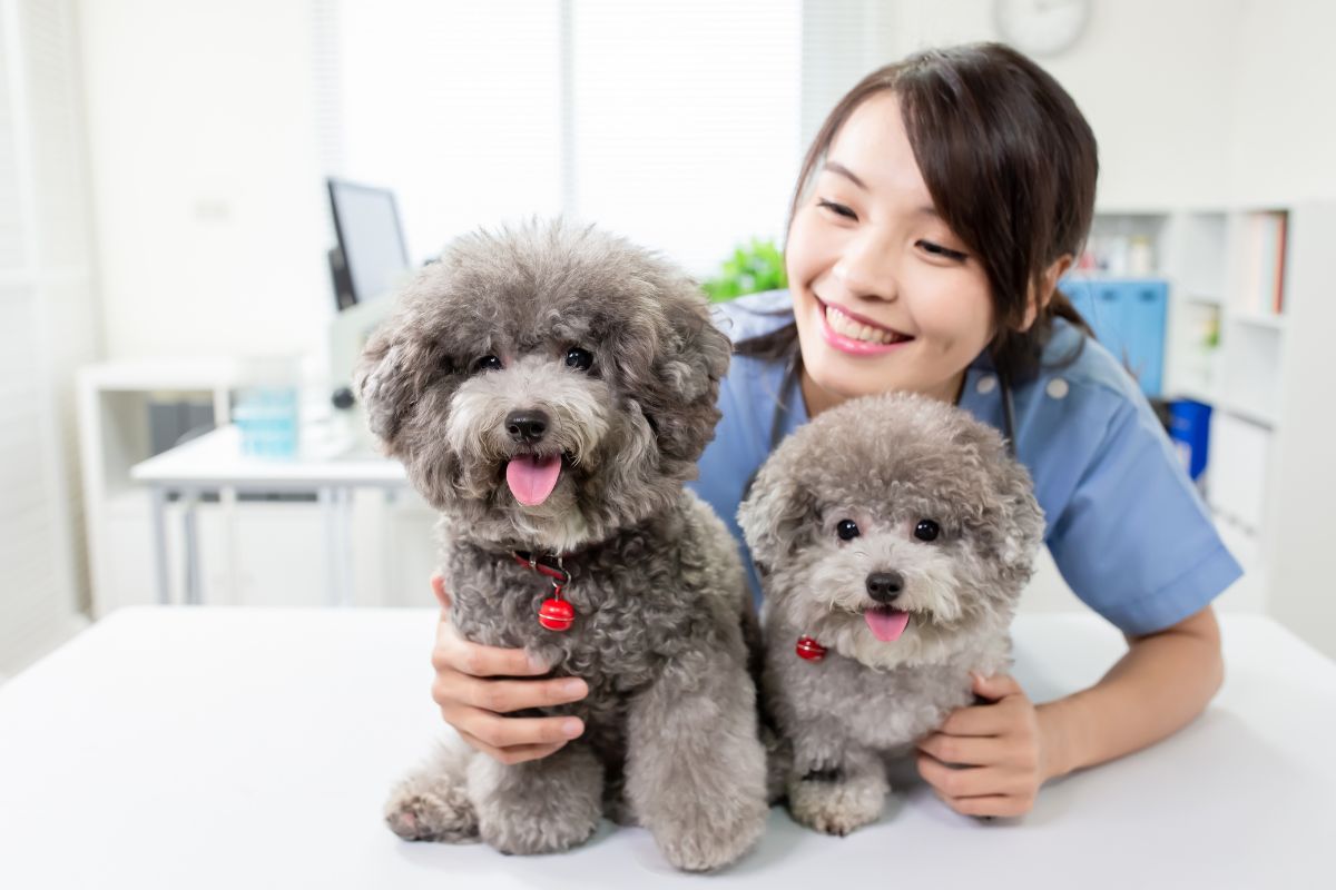 Pet and Personal Care