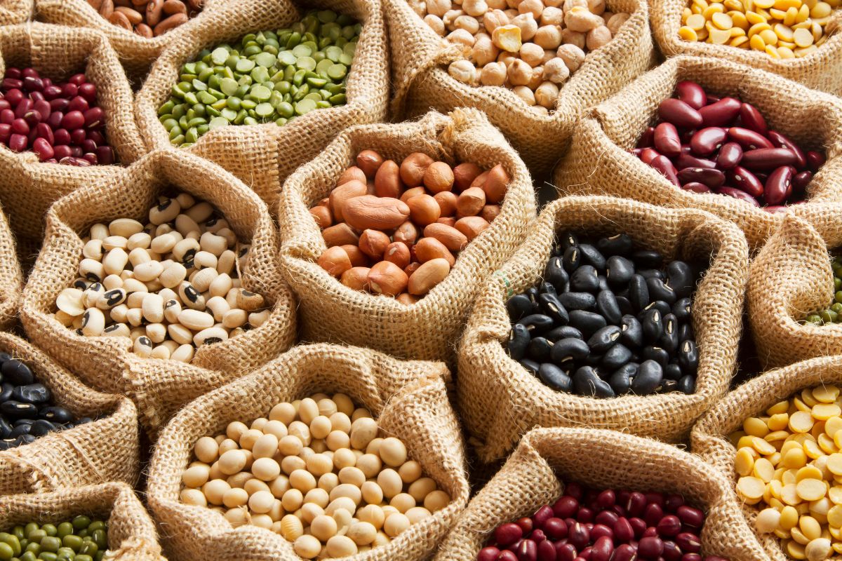 Protein Superfoods Lentils and Legumes
