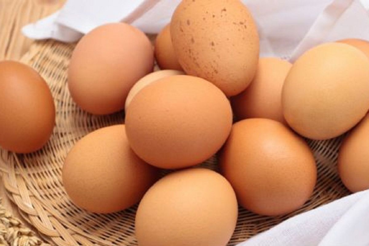 Eggs Are Terrible for Your Heart