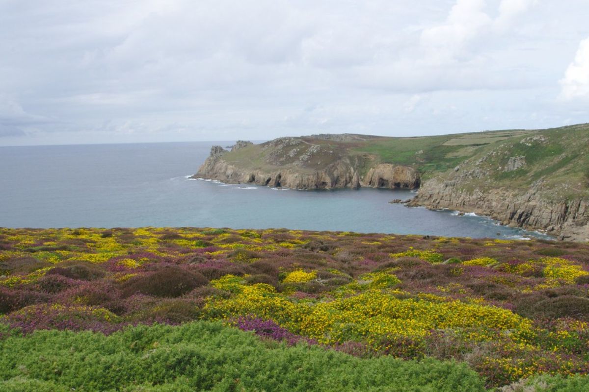 Walk Part of a Coastal Path